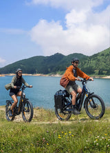 ENGWE E26 3.0 Pro Elektrische Mountainbike Middenmotor 100Nm 720Wh Grijs