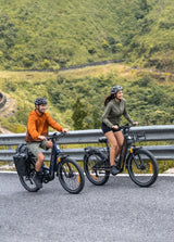 ENGWE E26 3.0 Pro Elektrische Mountainbike Middenmotor 100Nm 720Wh Grijs