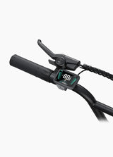 ENGWE L20 Boost Elektrische Fatbike Lage Instap 250W 126km