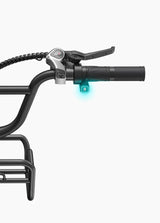 ENGWE L20 Boost Elektrische Fatbike Lage Instap 250W 126km