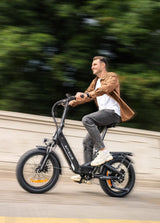 ENGWE L20 3.0 Boost Volledig Geveerde Vouwfiets 250W 75Nm 135km