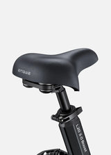 ENGWE L20 3.0 Boost Volledig Geveerde Vouwfiets 250W 75Nm 135km